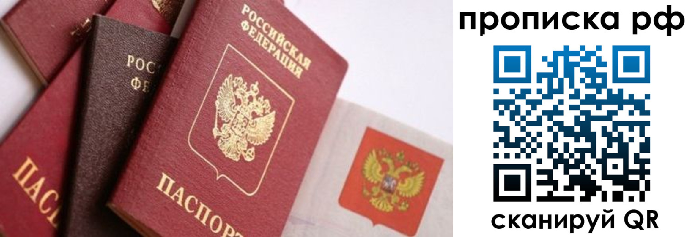 прописка ребенка в Александрове